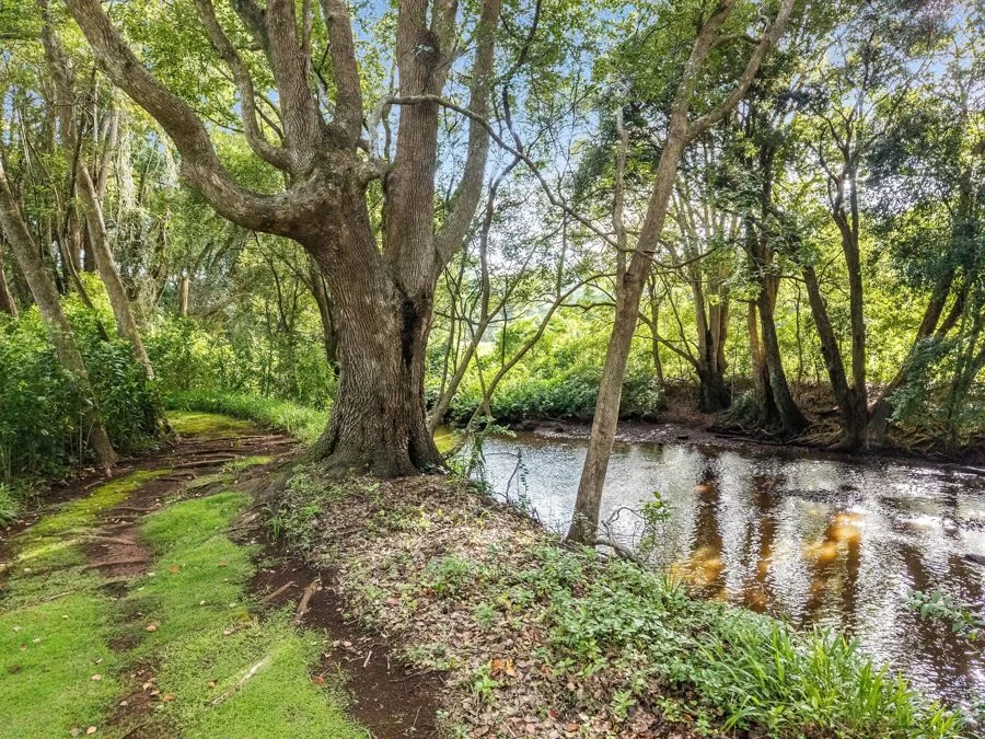 Additional image 5 of 27 Friday Hut Road, Tintenbar NSW 2478