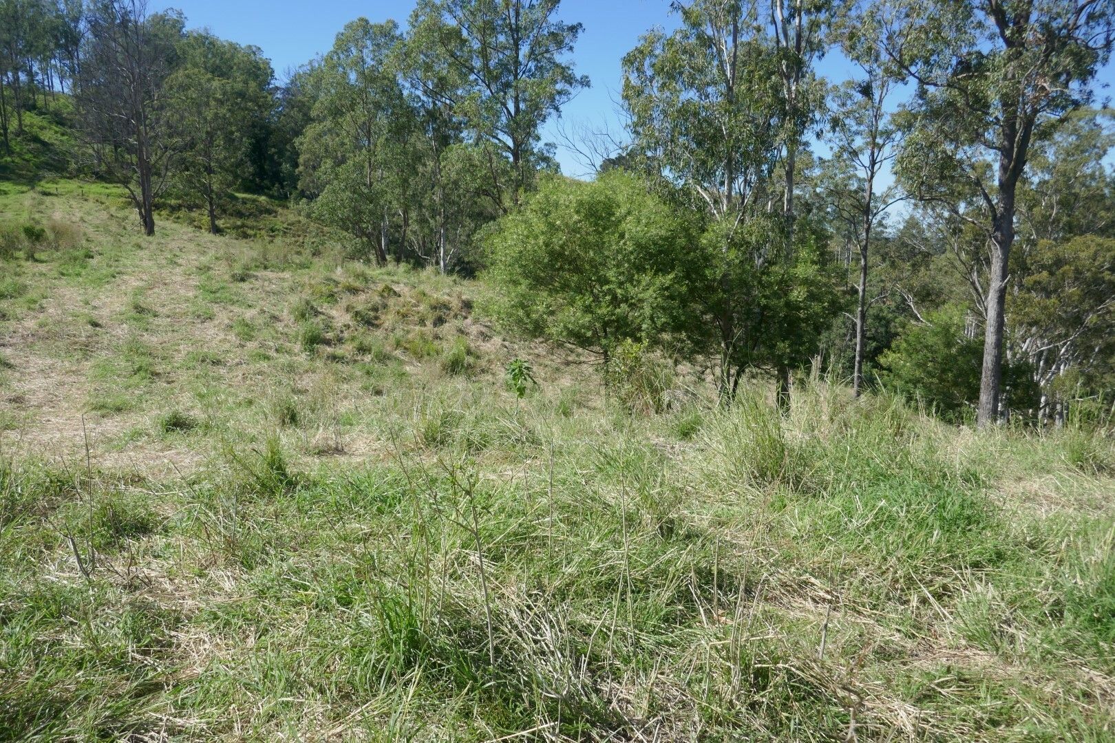 Lot 12 Ghinni Ghi Road, Kyogle NSW 2474, Image 0