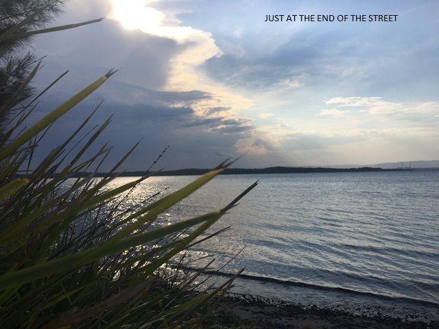 2 bedrooms Apartment / Unit / Flat in 1/15 Cams Wharf Road CAMS WHARF NSW, 2281