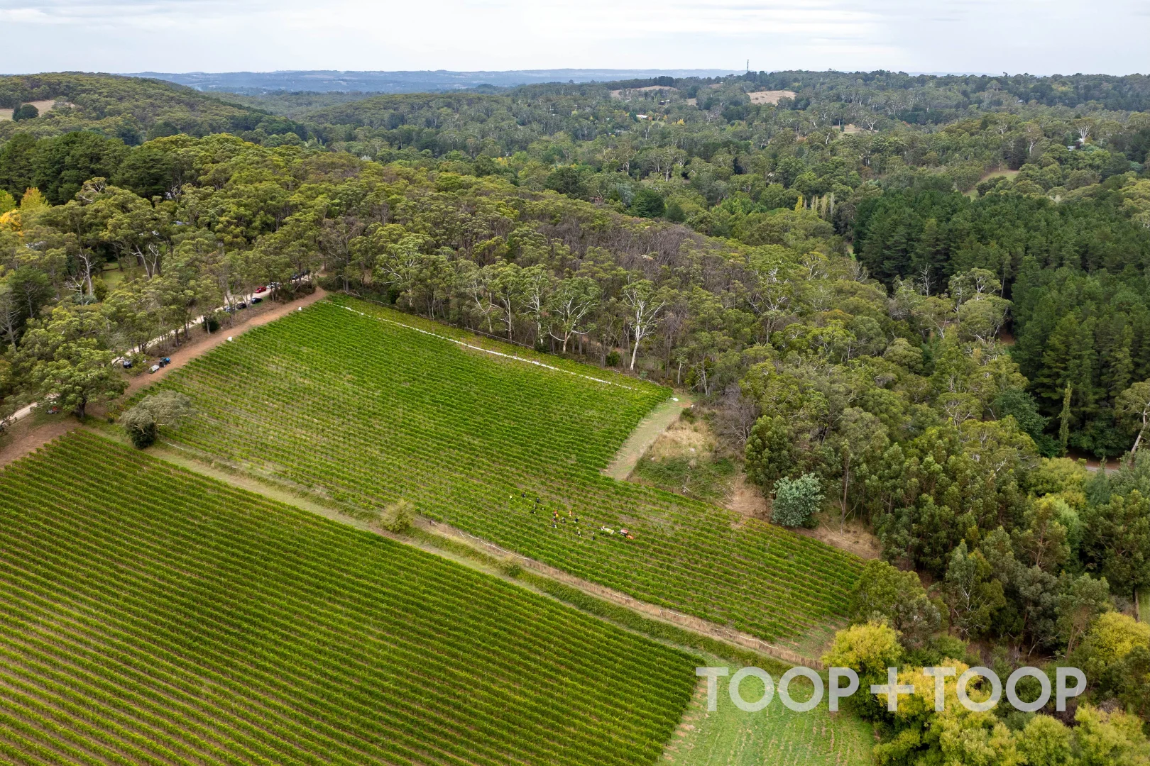 Additional image 17 of 12 Udys Road, Piccadilly SA 5151