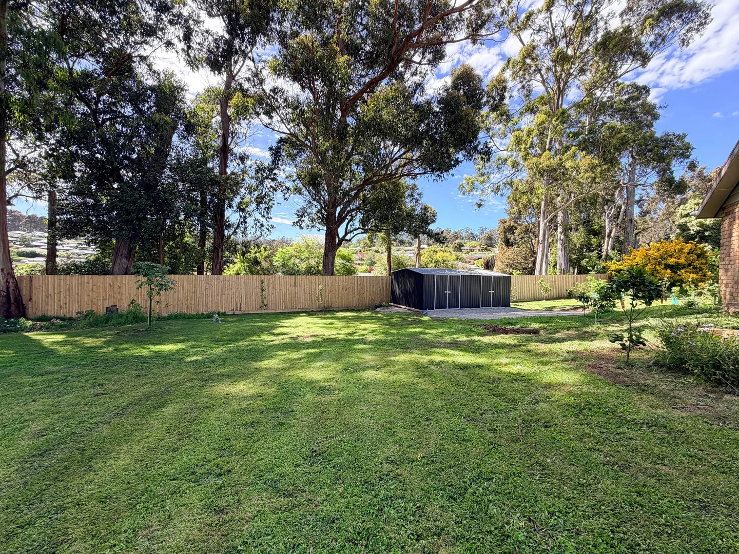 Image 21