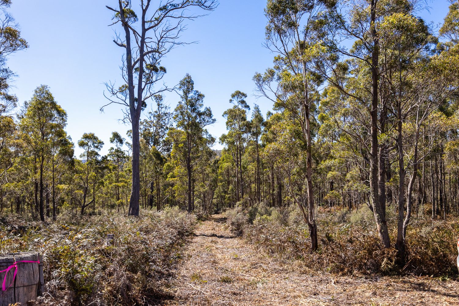 Vol 118556/1 Part of Sand Marsh Road, Woodsdale TAS 7120 House for Sale