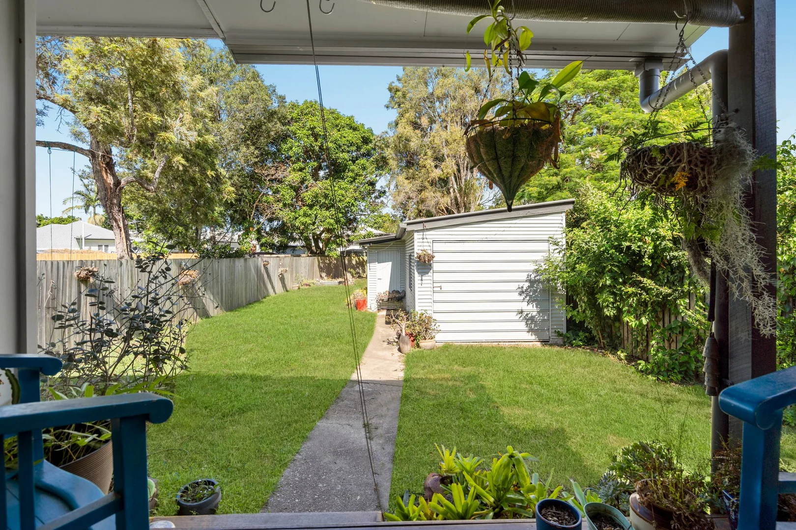 Image 7
