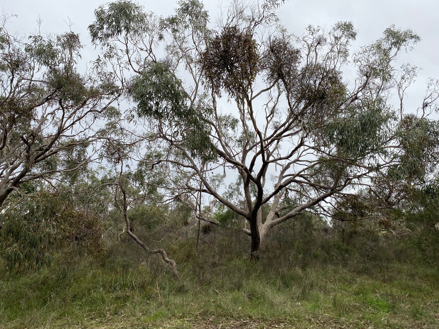 Various Lots Tankerton Estate, French Island VIC 3921 | Domain 