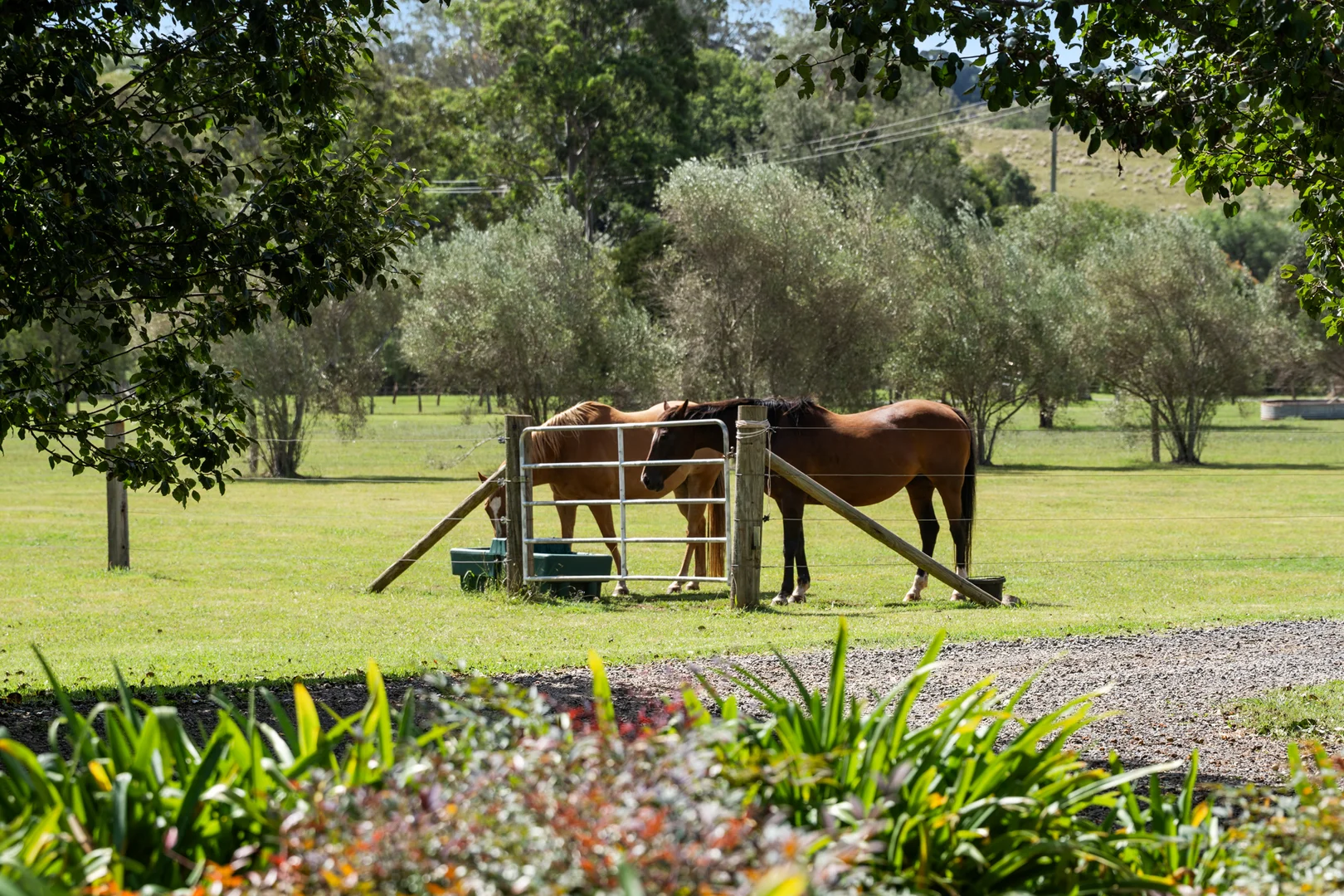Additional image 14 of 205 Hampton Road, Hampton QLD 4352