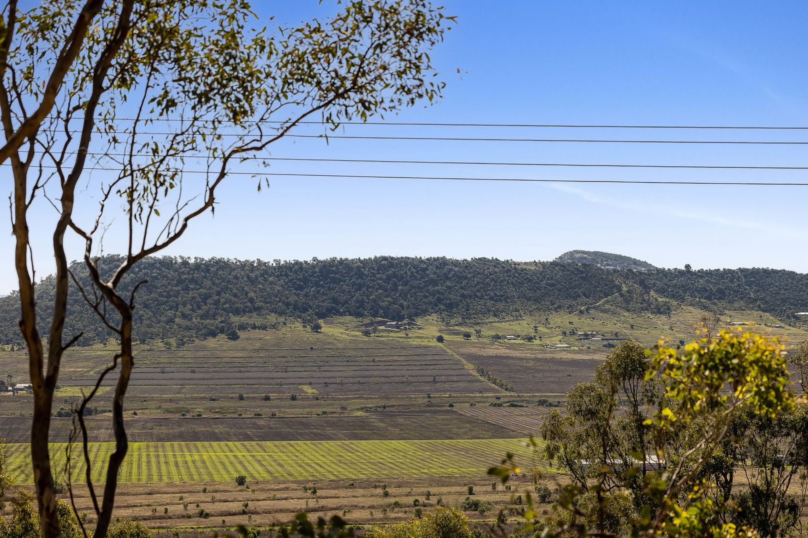 14 Linora Drive, Gowrie Mountain QLD 4350 Domain