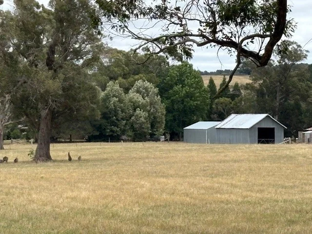 Image 26