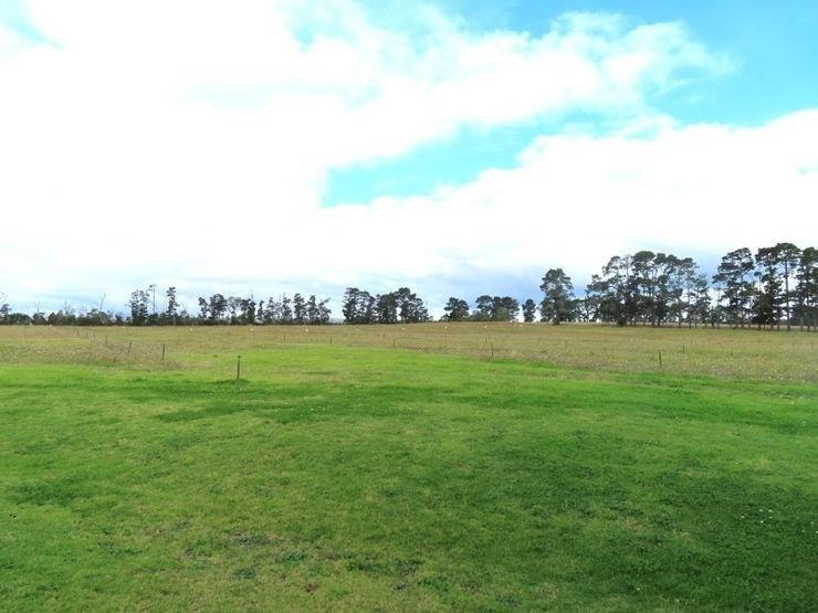 Vacant land in Lot 152 Halloran Drive, COTTONVALE QLD, 4375