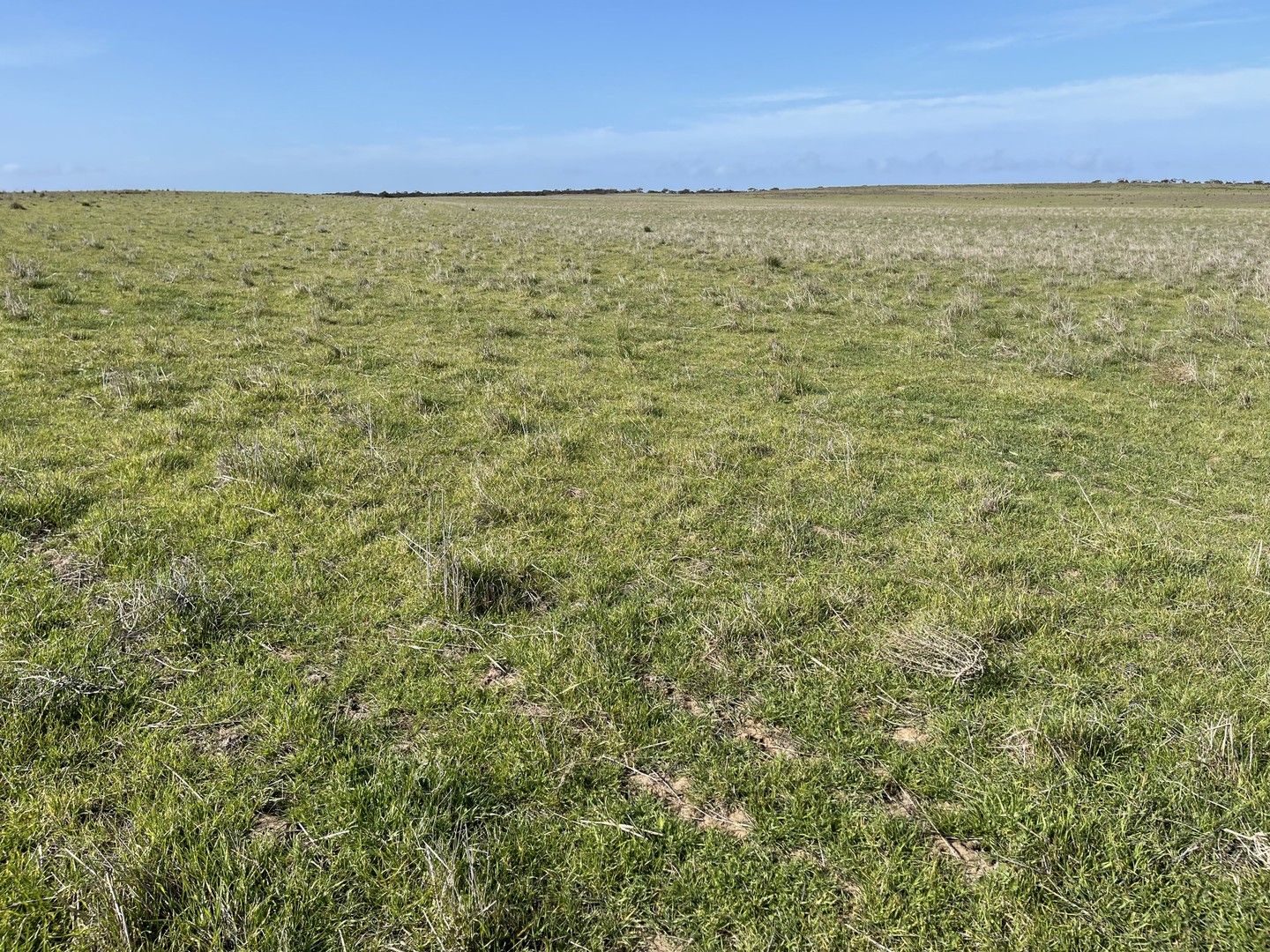 Lot 18 Tod Highway, Warramboo SA 5650, Image 0