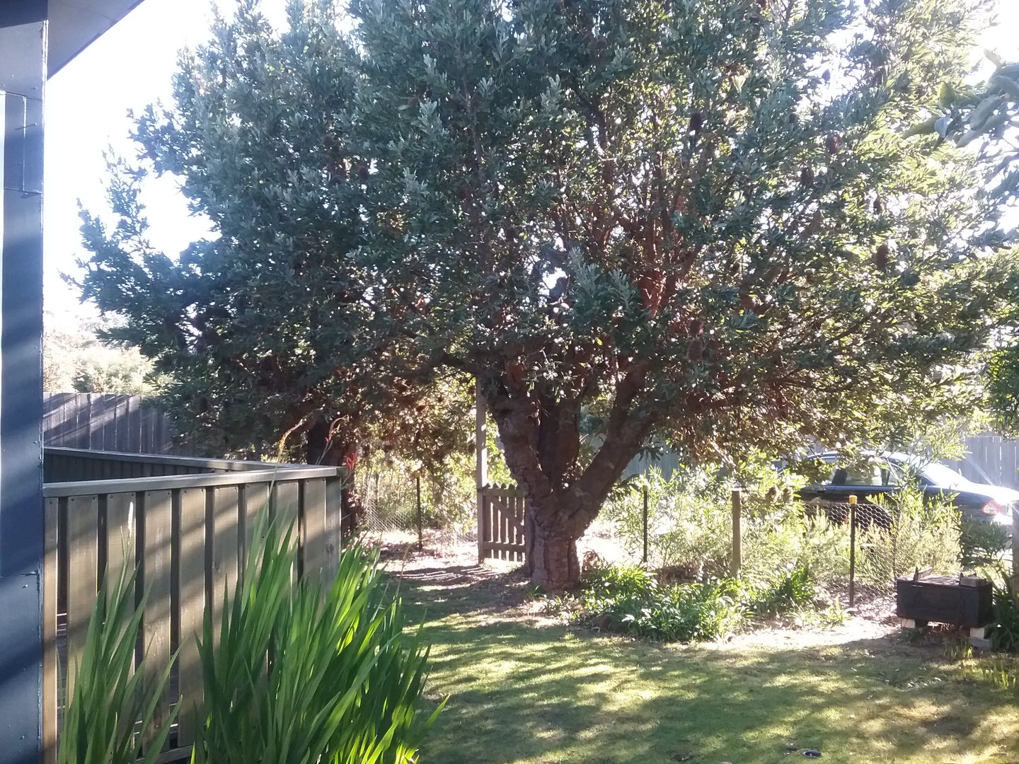 2 Cumming Street, Sisters Beach TAS 7321, Image 1