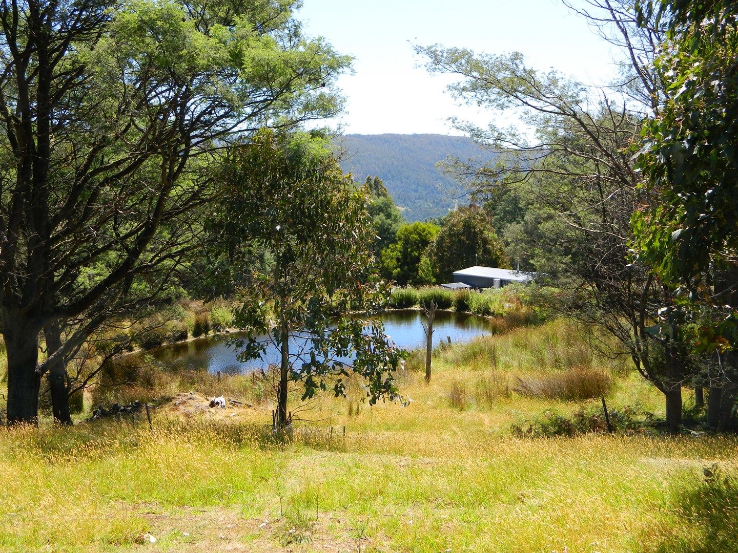 Jefferys Track, Lachlan TAS 7140, Image 0