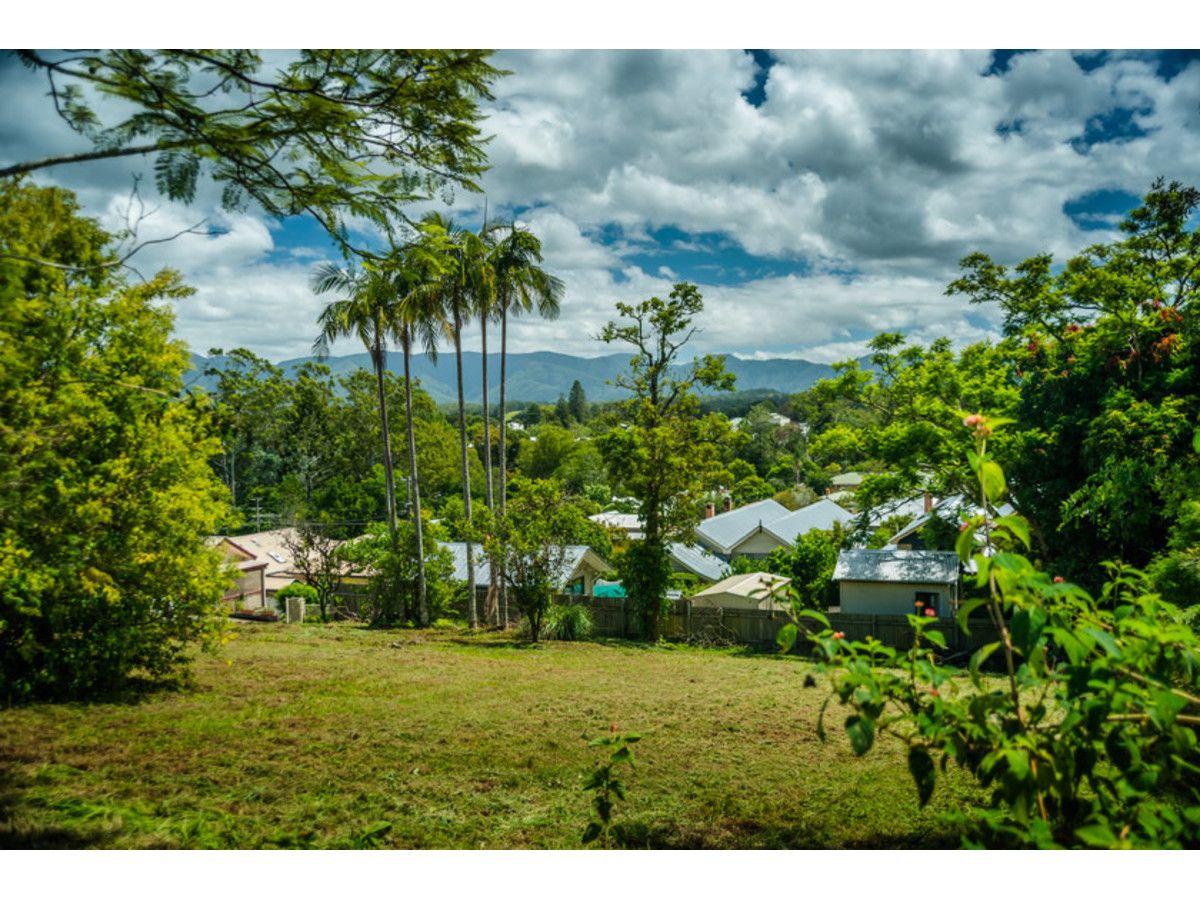 3 George Moore Lane, Bellingen NSW 2454, Image 1