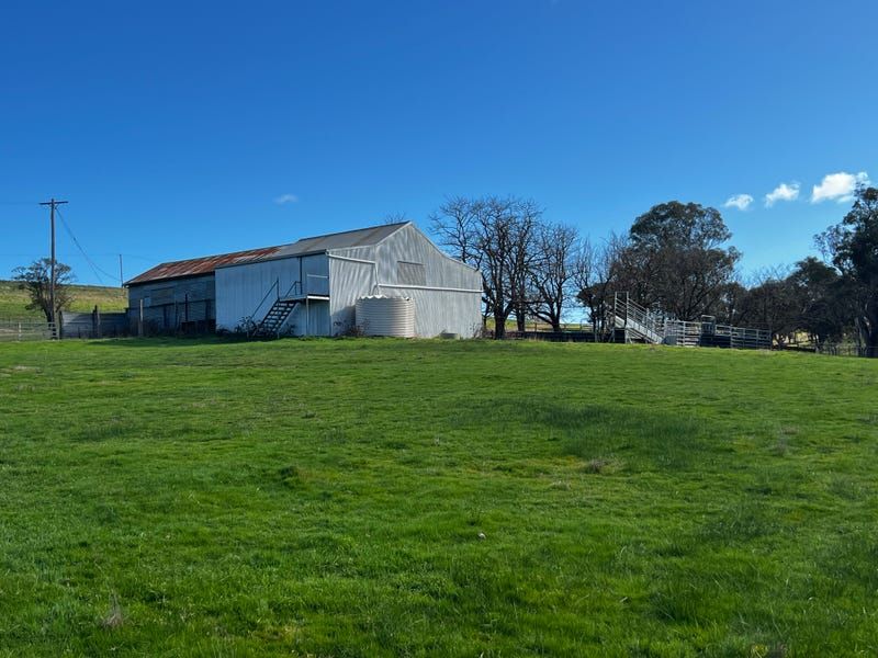 1700 Kenyu Road, Boorowa NSW 2586, Image 2