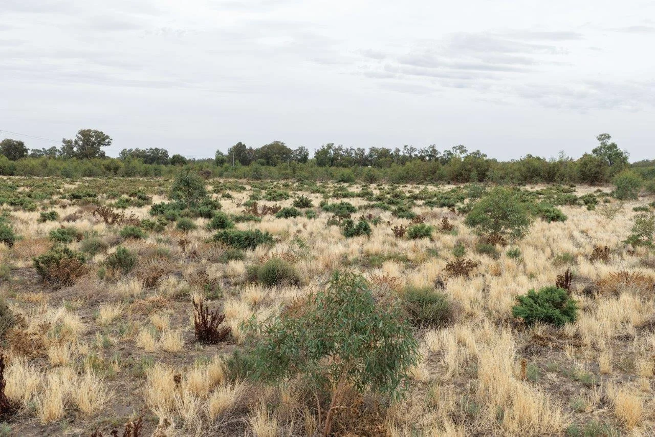 Additional image 9 of 13 Flowerday Lane, Murrabit West VIC 3579
