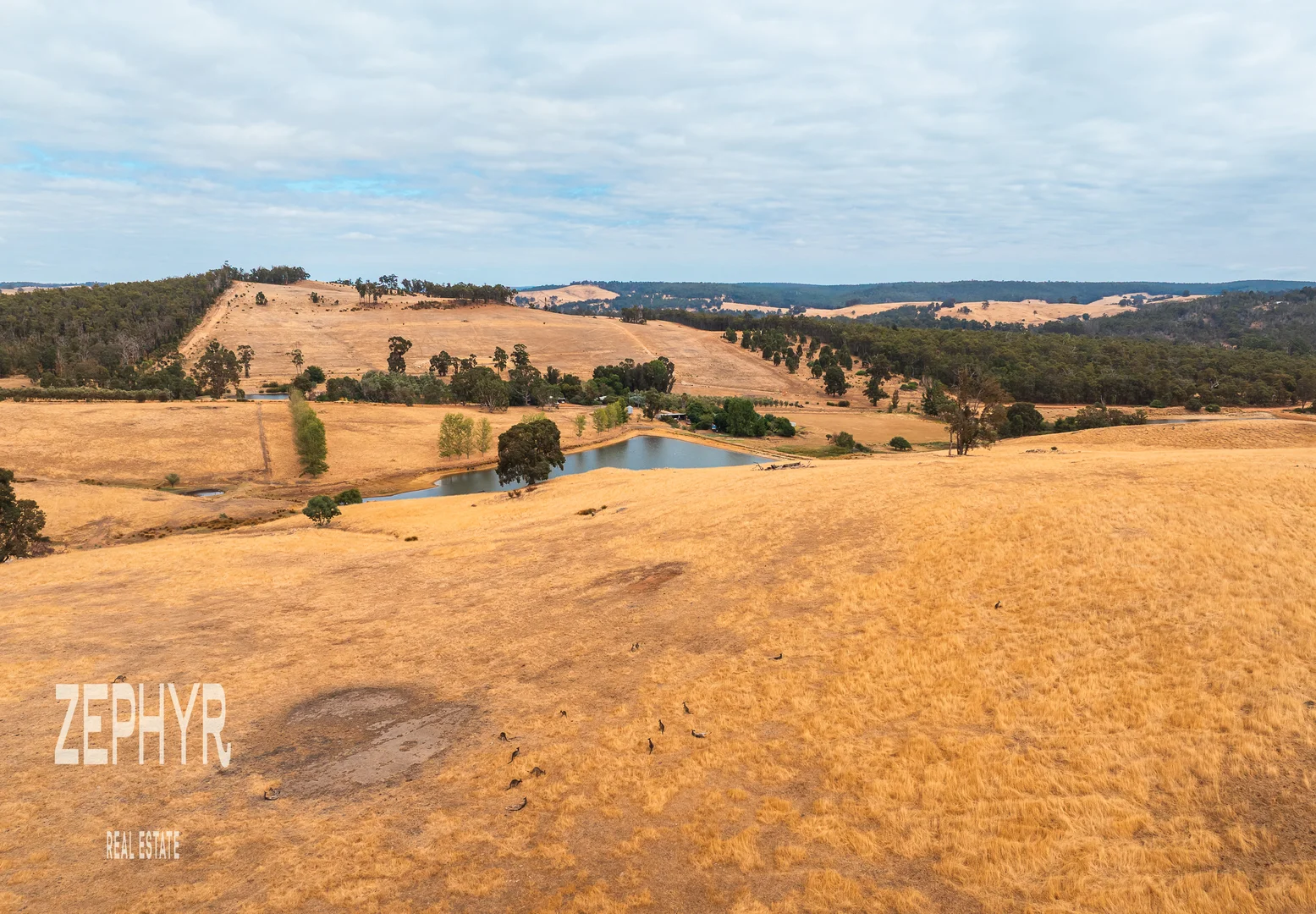 Additional image 18 of 89 Hearle Road, Mumballup WA 6225