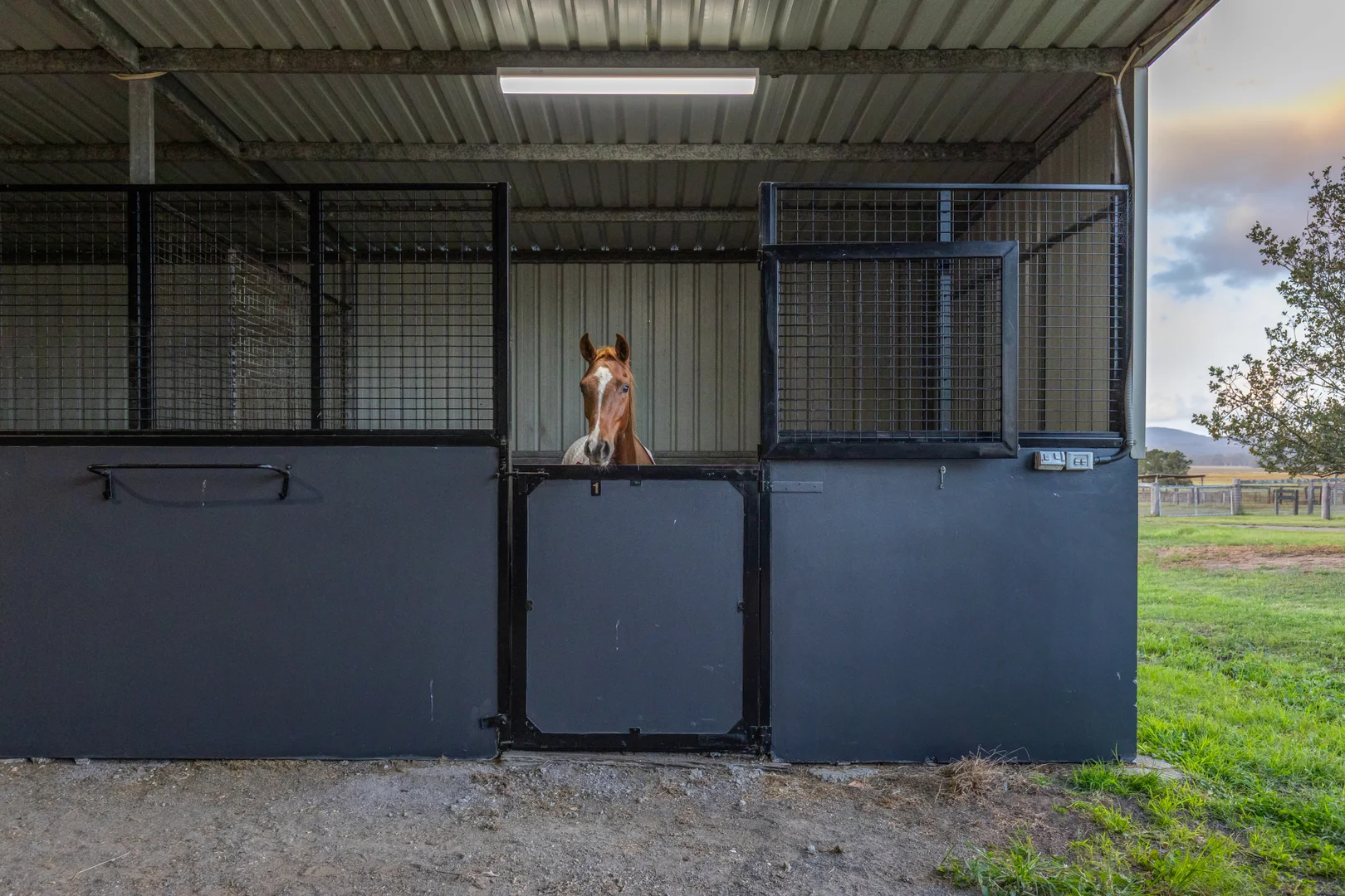 Additional image 23 of 303 Clarence Town Road, Woodville NSW 2321