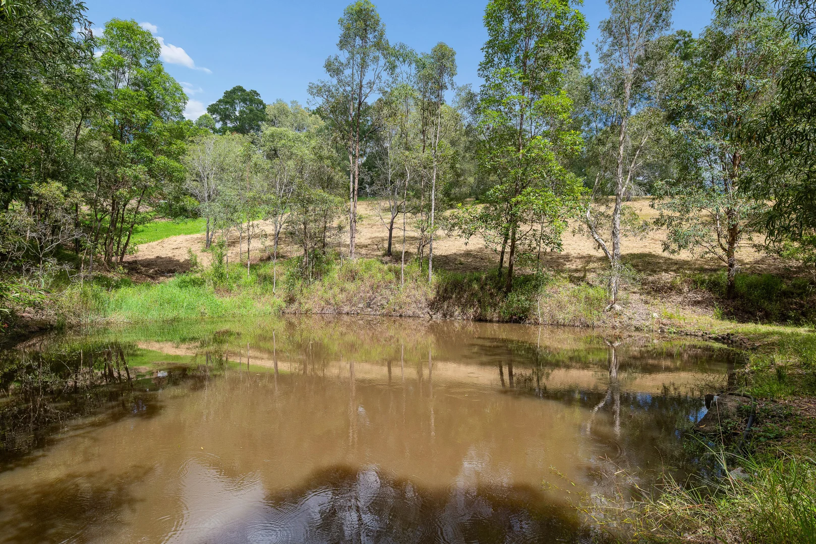 Additional image 22 of 858 Clear Mountain Road, Cashmere QLD 4500