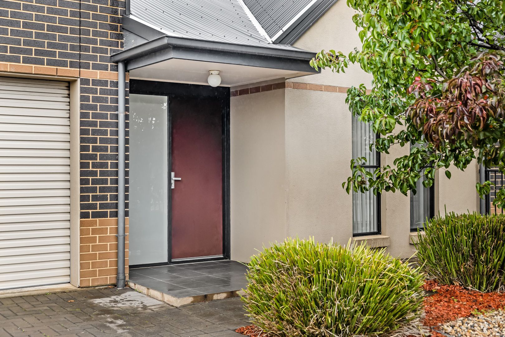 40 Ferry Avenue, Plympton Park SA 5038, Image 1