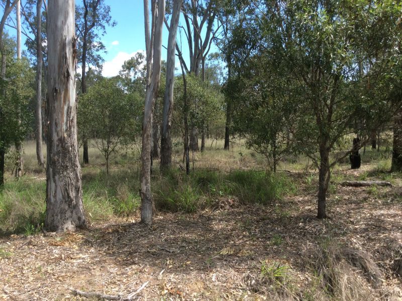 83 Memerambi-Barkers Creek Road, Nanango QLD 4615, Image 2