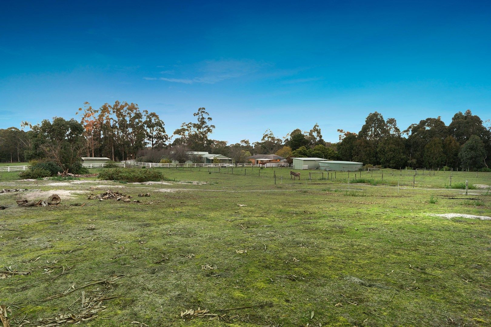 55 Favorite Hill Road, Pearcedale VIC 3912, Image 0