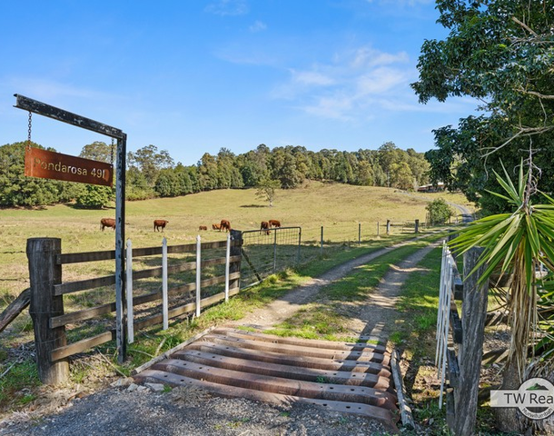 491 Nobbys Creek Road, Nobbys Creek NSW 2484