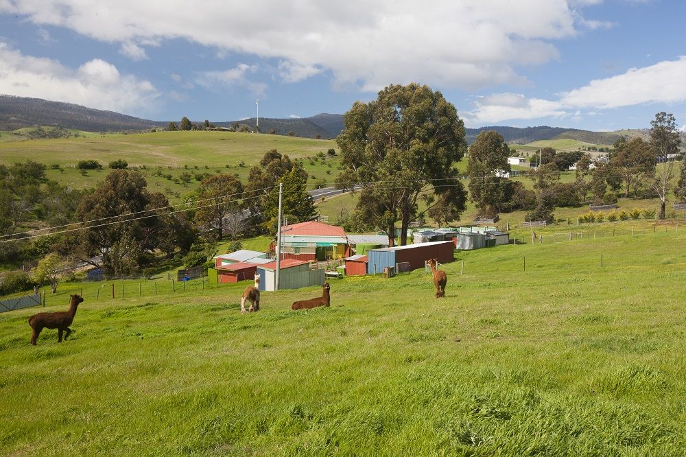 3247 Lyell Highway, ROSEGARLAND TAS 7140, Image 1