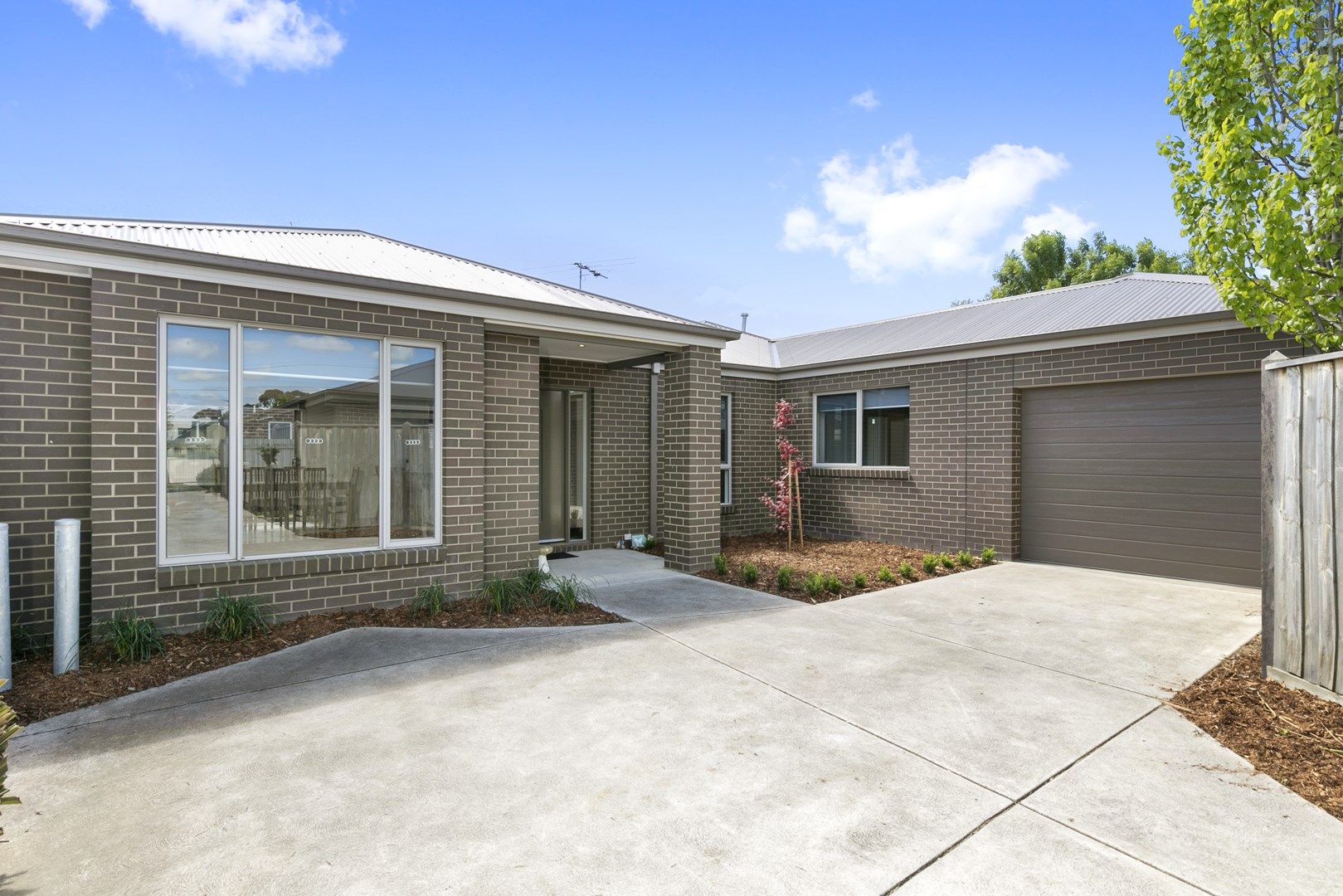 12B Knight Avenue, Herne Hill VIC 3218, Image 0