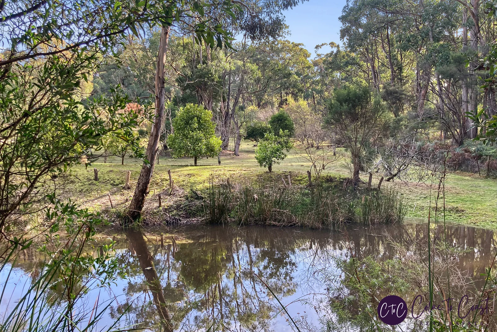 Additional image 8 of 25 Johnsons Road, Barongarook VIC 3249