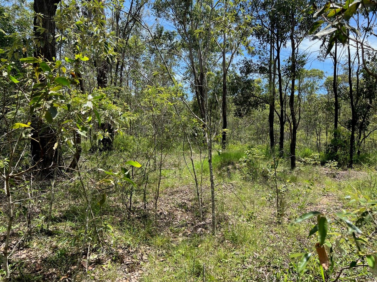 Acreage / Semi-Rural in 70-88 Robin Street, CHUWAR QLD, 4306