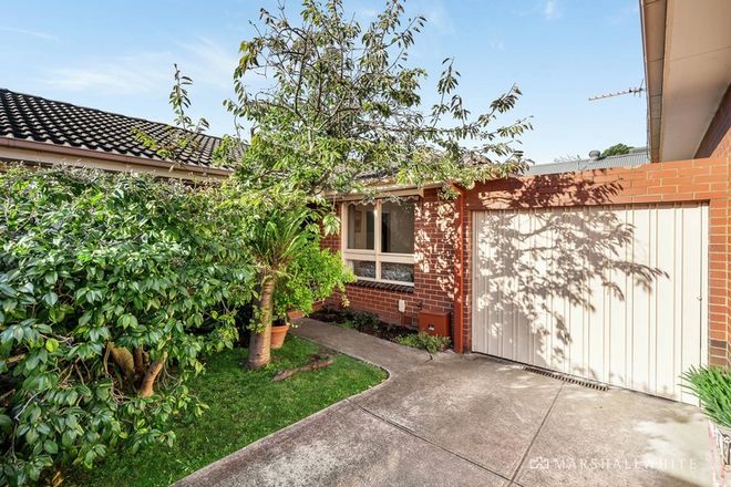 Picture of 3/84 Rochester Road, BALWYN VIC 3103