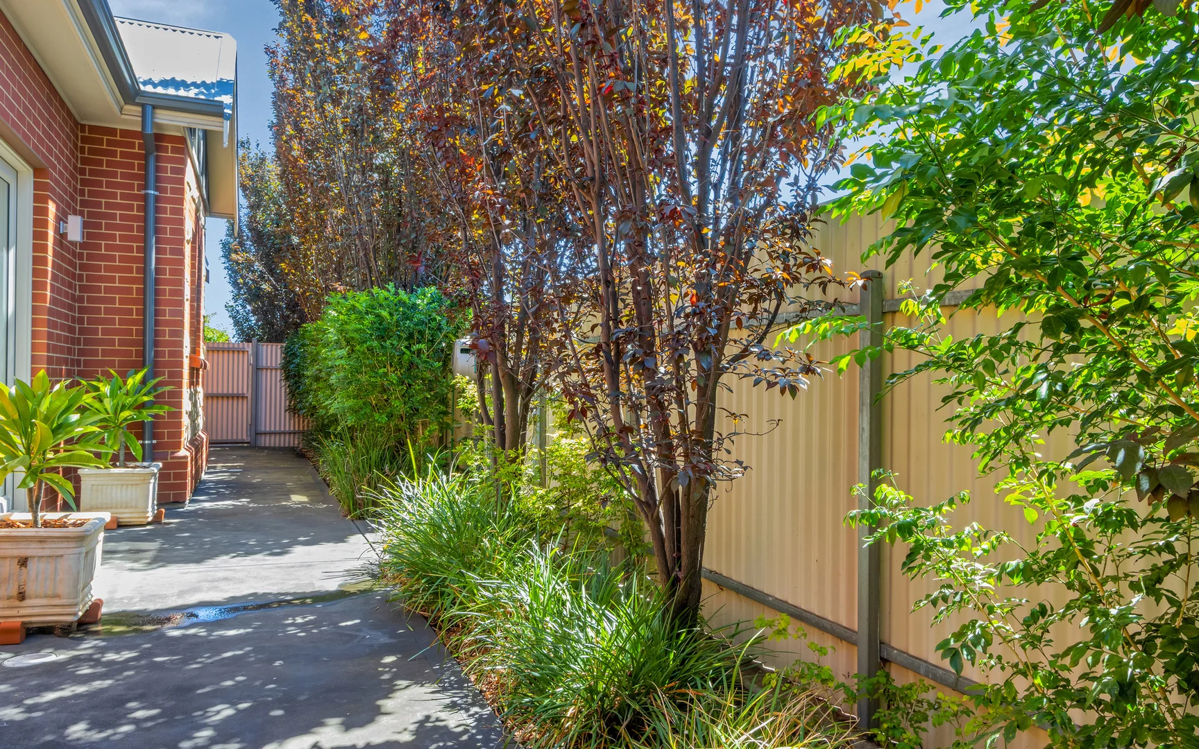 Additional image 17 of 1 Frederick Street, Welland SA 5007