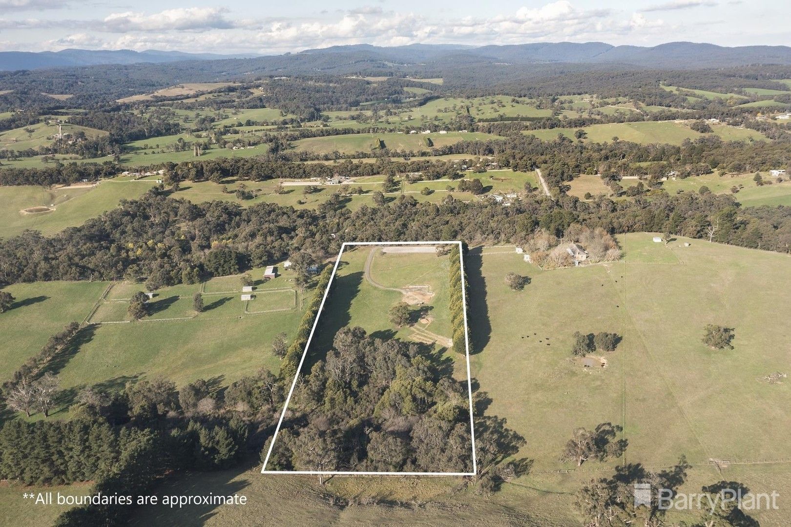 Vacant land in 199 Spillers Road, MACCLESFIELD VIC, 3782
