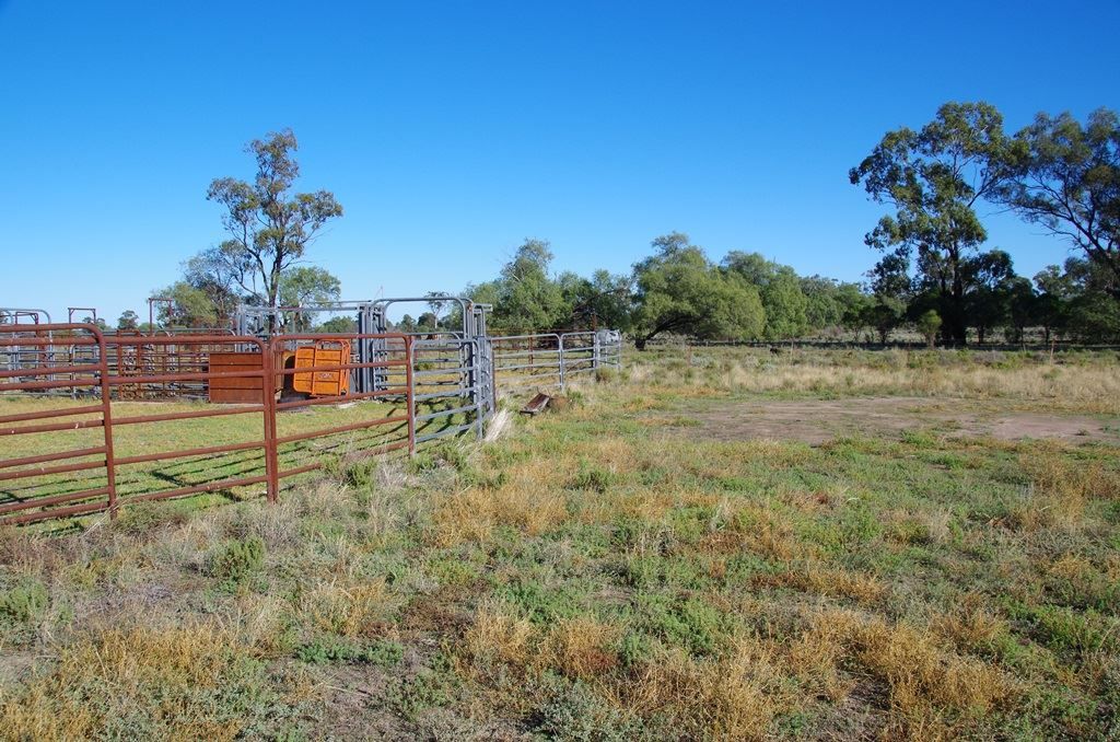 . Stumpy Lane, Wee Waa NSW 2388, Image 1