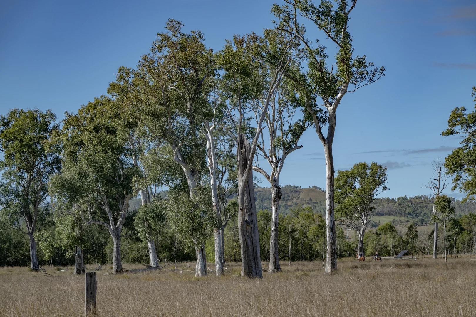 Image 13