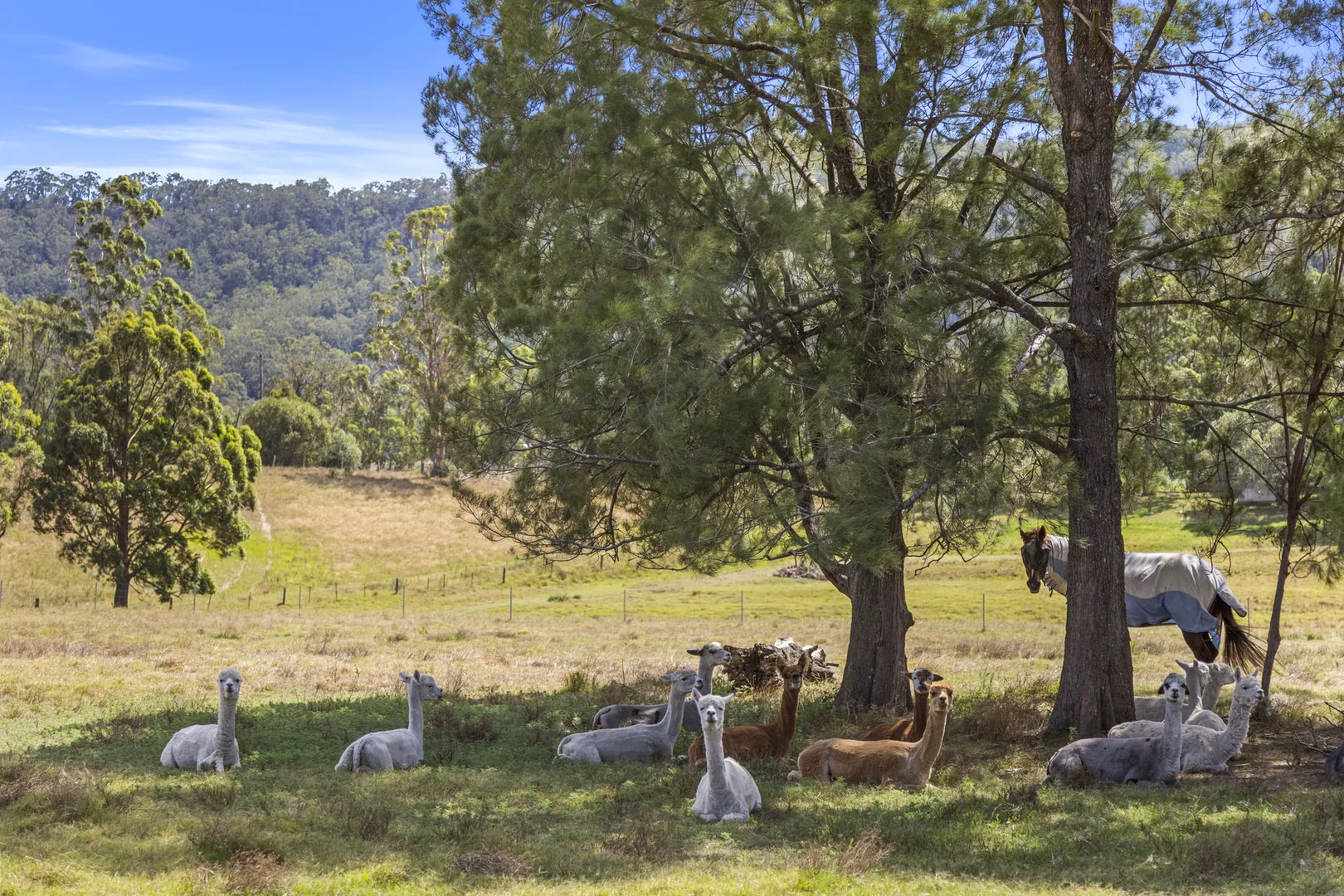 Additional image 41 of 951 Maitland Vale Road, Rosebrook NSW 2320