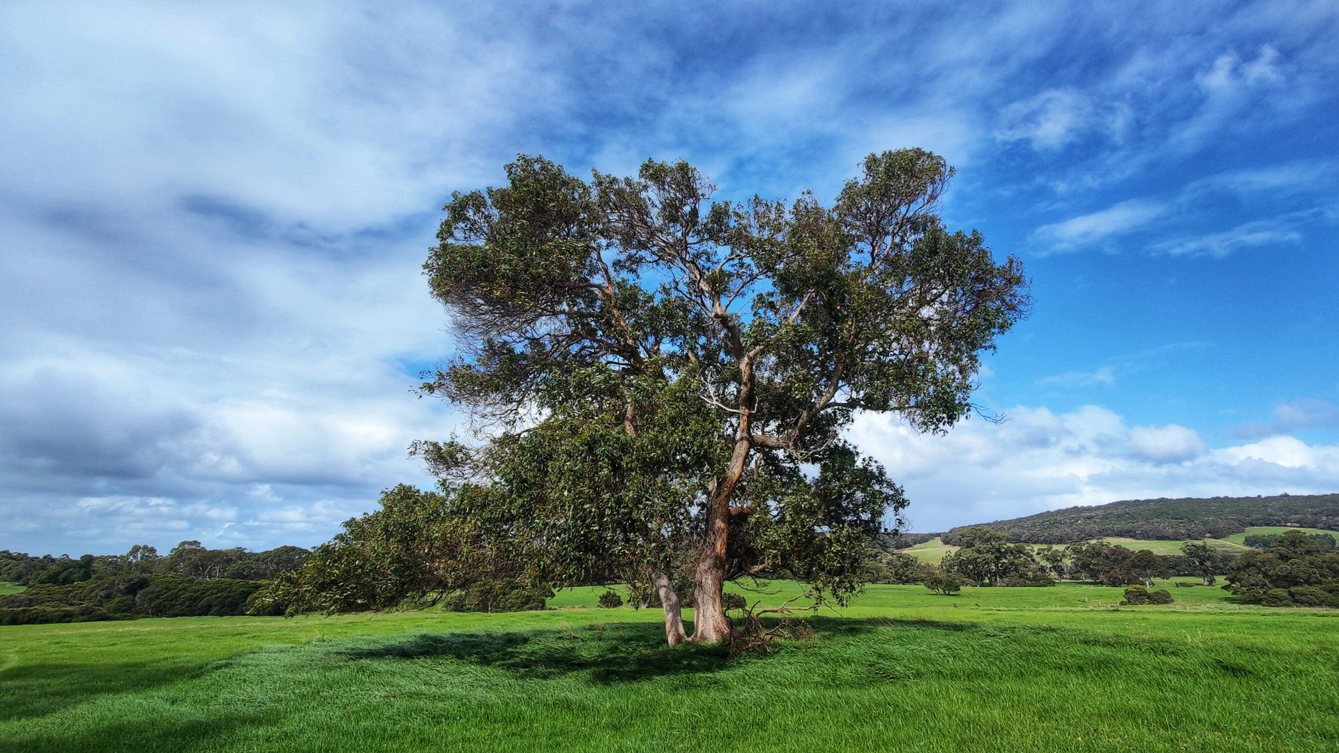 Lot 201 Mount Richard Road, Nanarup WA 6330, Image 1