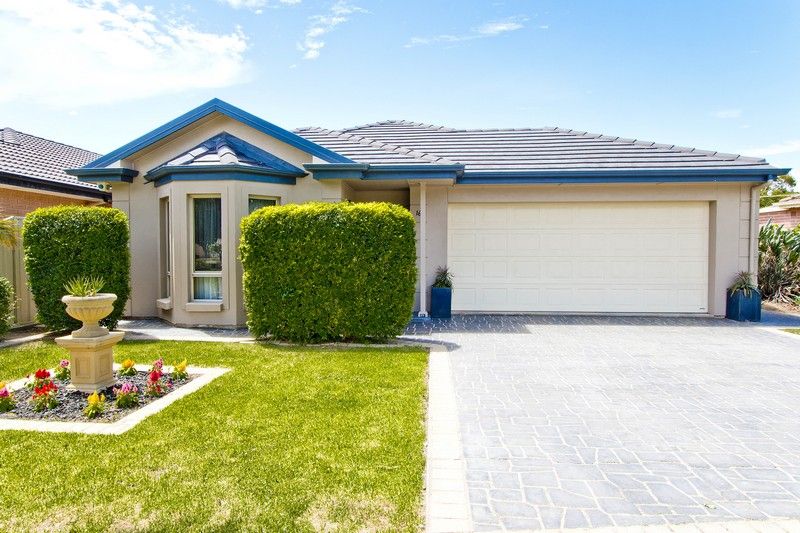 16 Beatty Street, Flinders Park SA 5025, Image 0