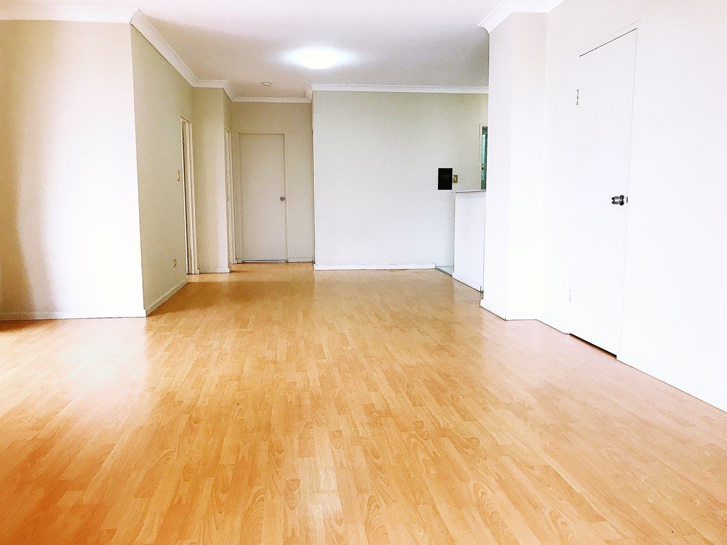 2 bedrooms Apartment / Unit / Flat in 156 Chalmers Street SURRY HILLS NSW, 2010