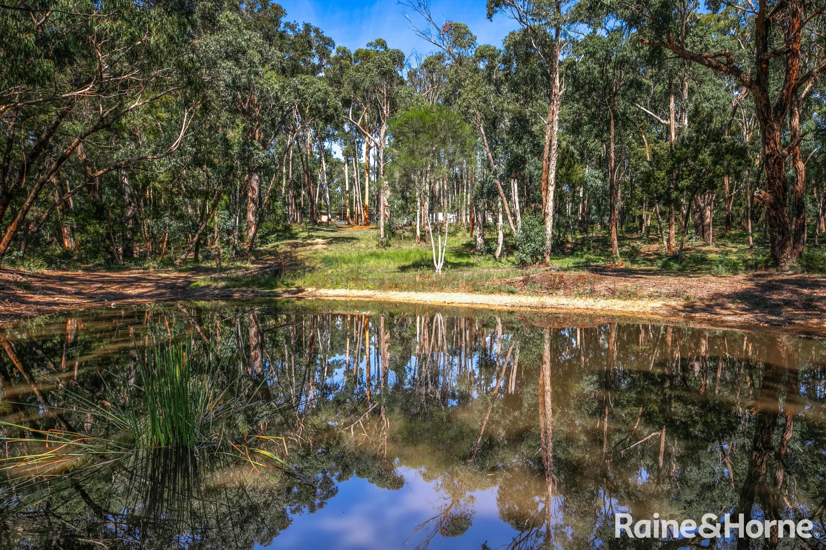 Additional image 31 of 162 Fitzgerald Road, Bullengarook VIC 3437