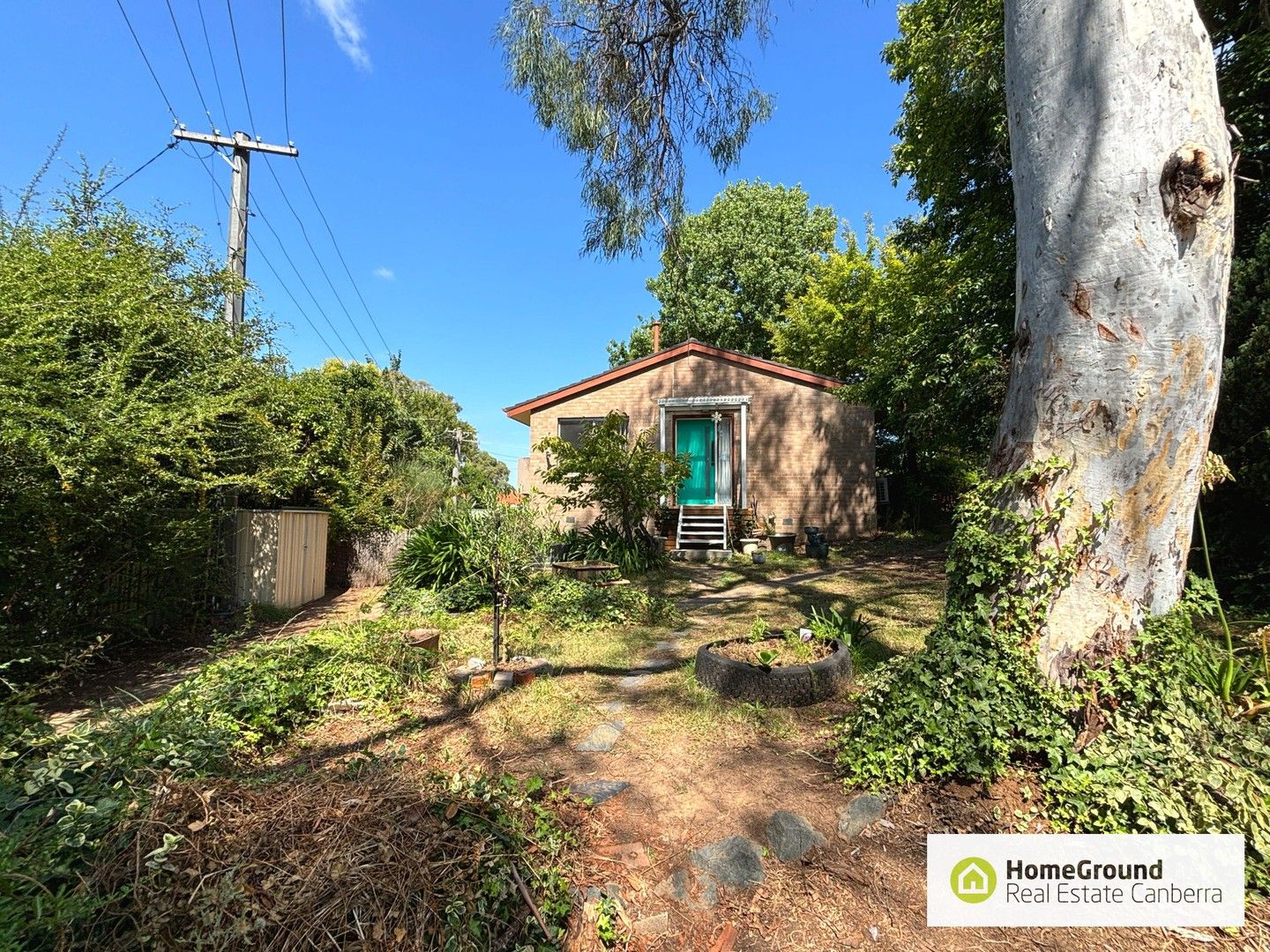 20 Brooks Street, Macquarie ACT 2614 House For Rent Domain