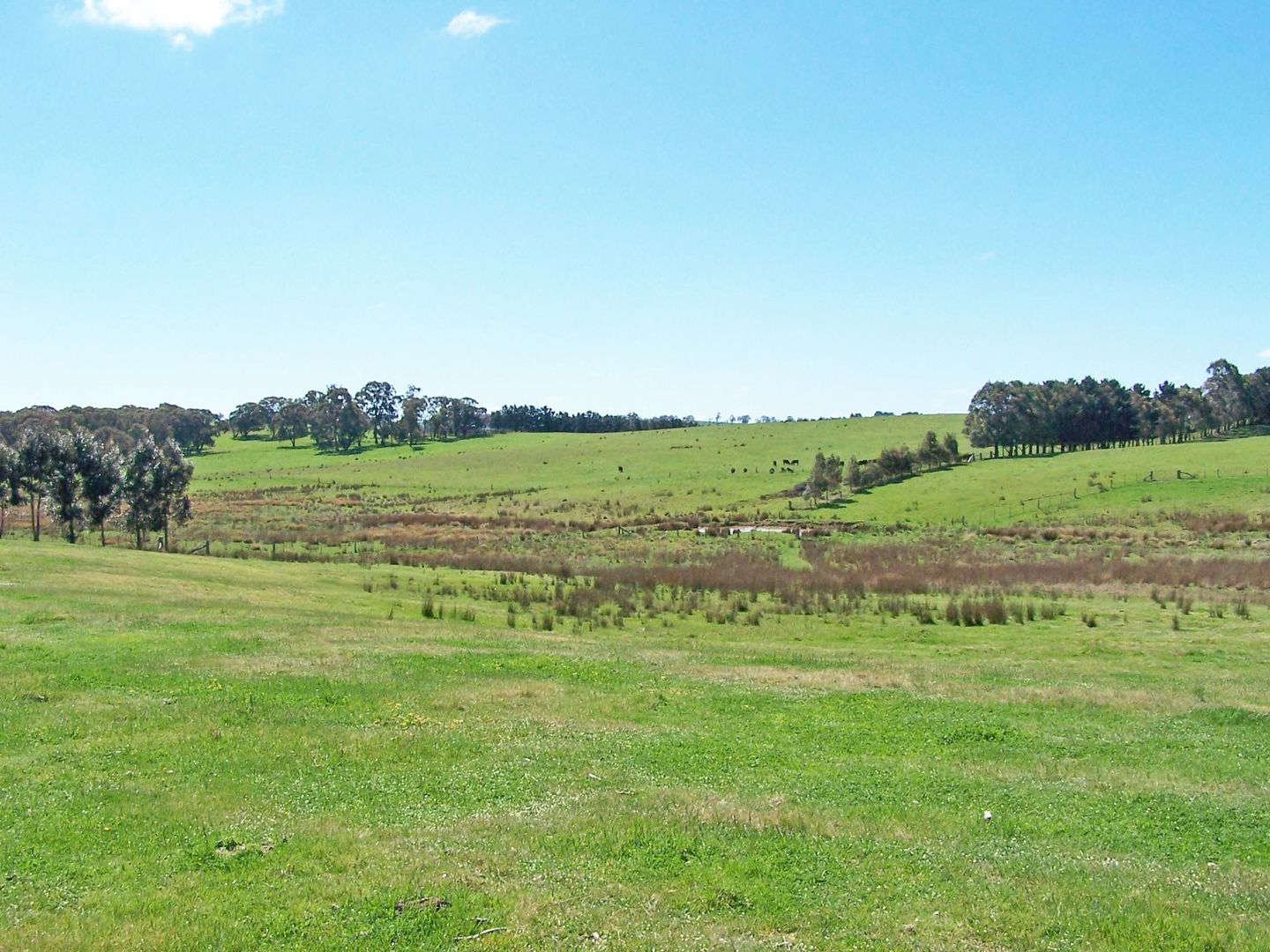 Wheeo Road, Crookwell NSW 2583, Image 2