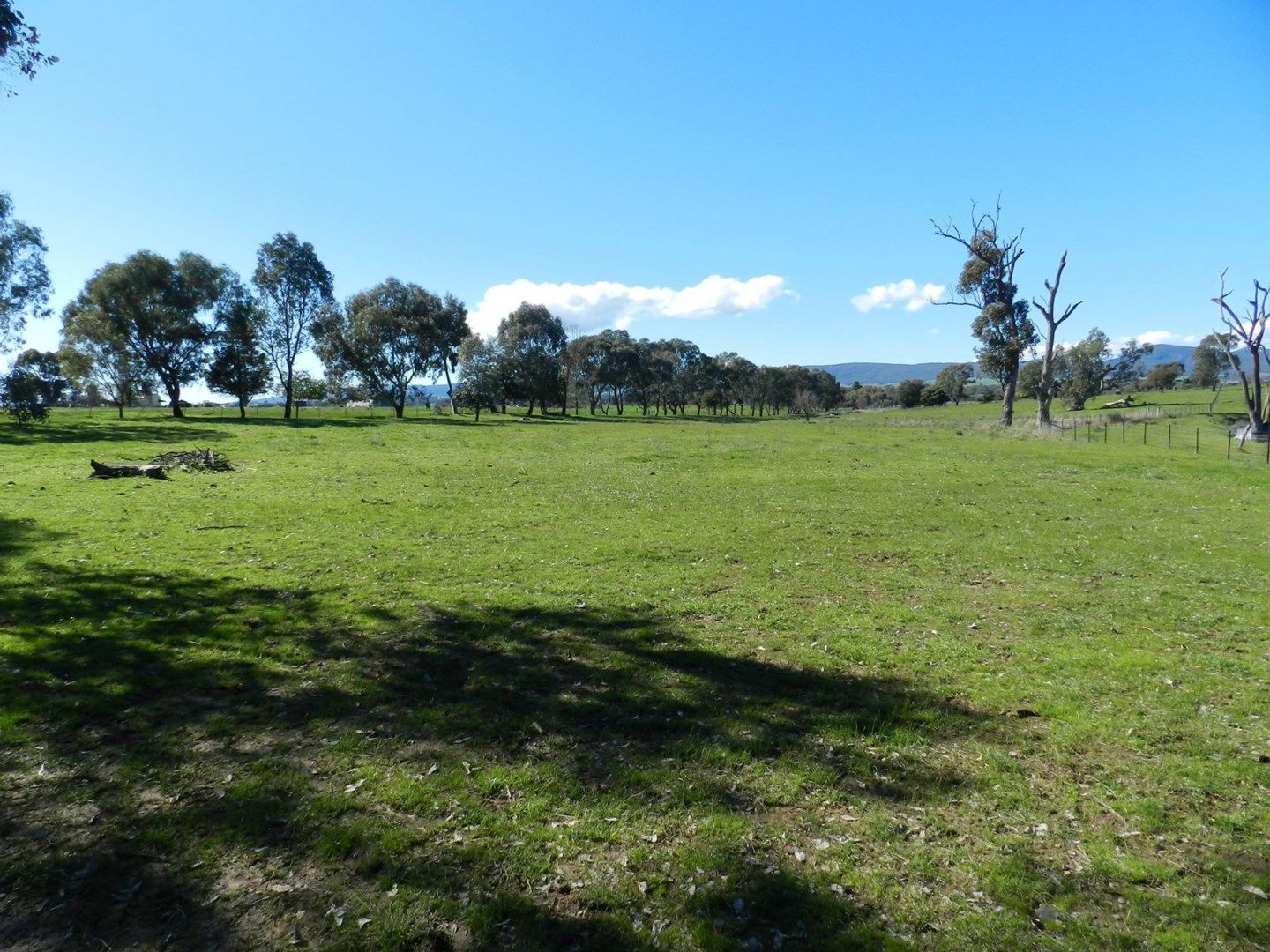 287 Gerogery West Road, Gerogery NSW 2642, Image 0