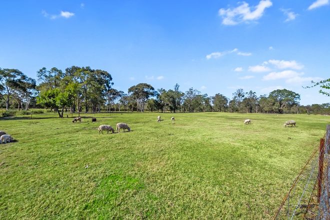 Picture of Lot 41/50 Persoonia Avenue, AGNES BANKS NSW 2753