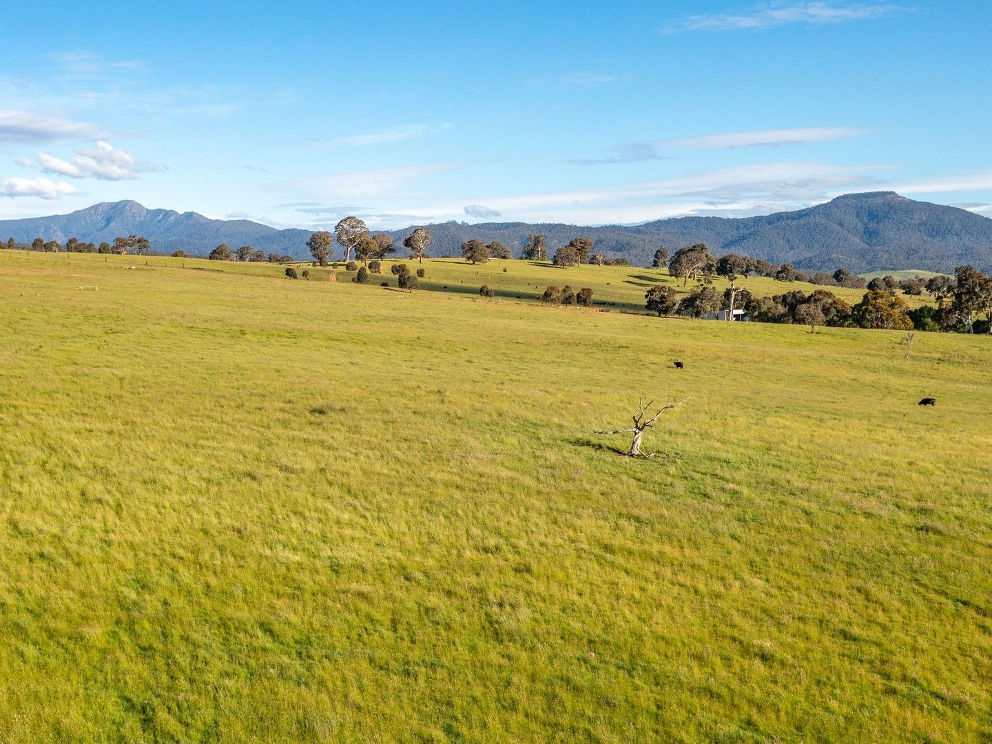 2 582 Buttercup Road, Merrijig VIC 3723 Vacant Land for Sale