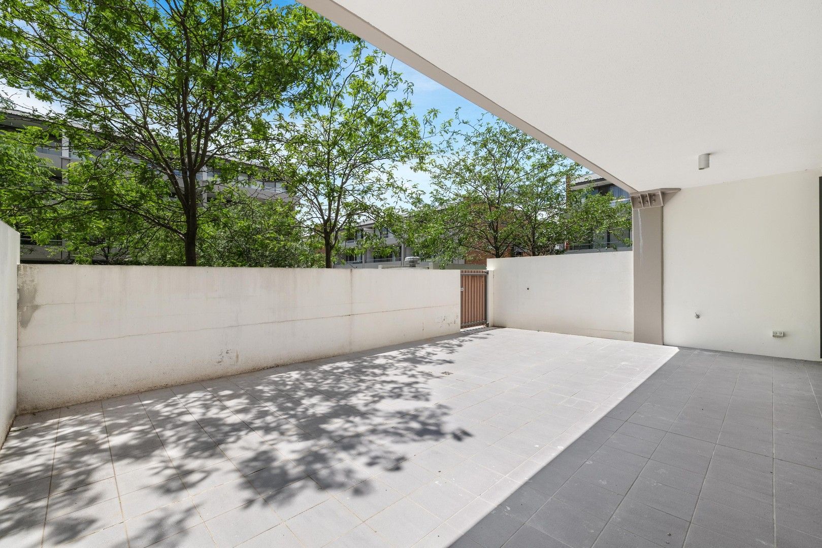 17/20 Eyre Street, Griffith ACT 2603 Apartment For Rent Domain