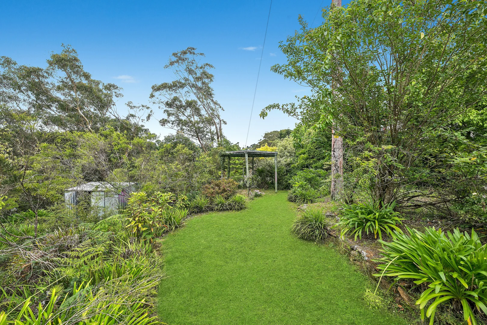 Image 10