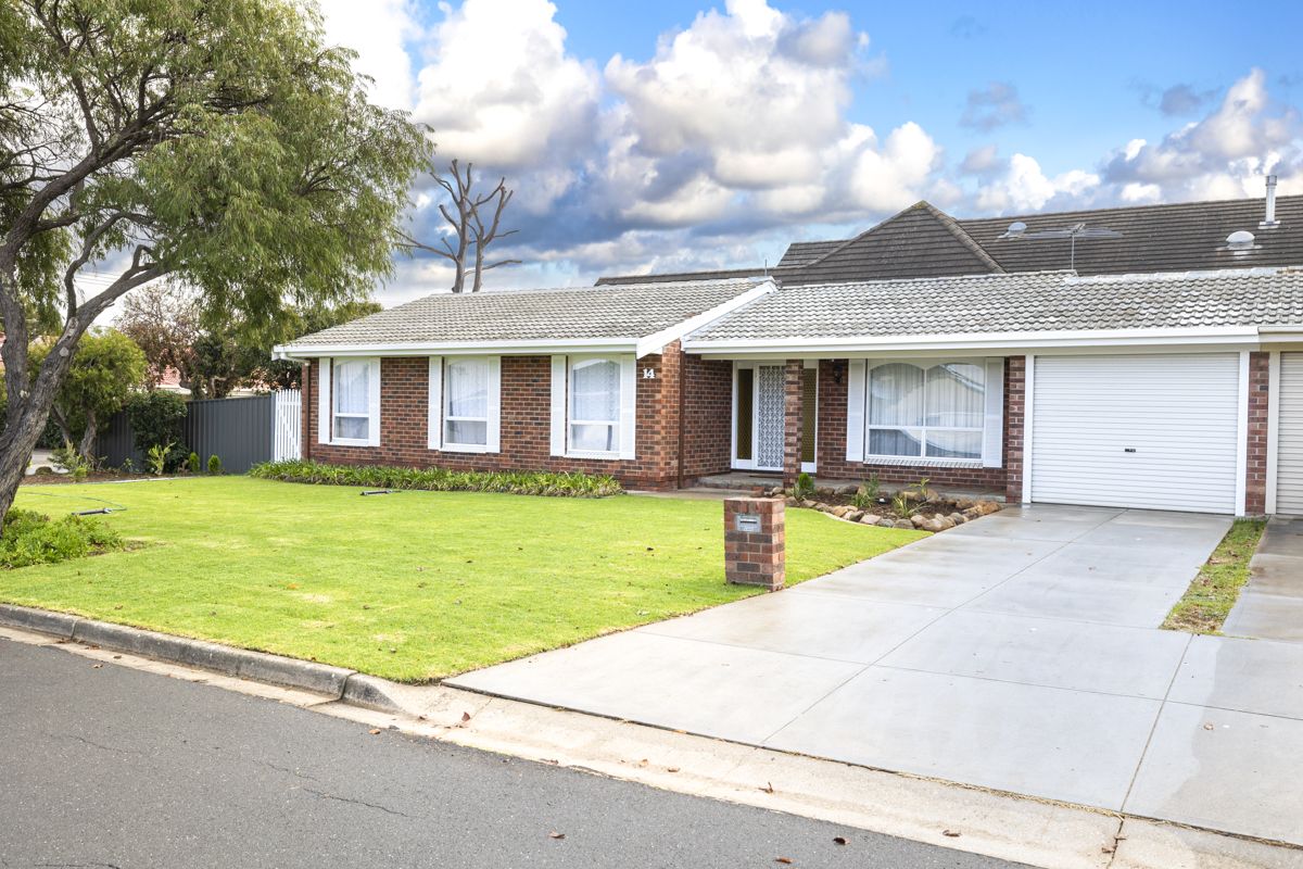 14 Heggaton Terrace, Newton SA 5074, Image 0