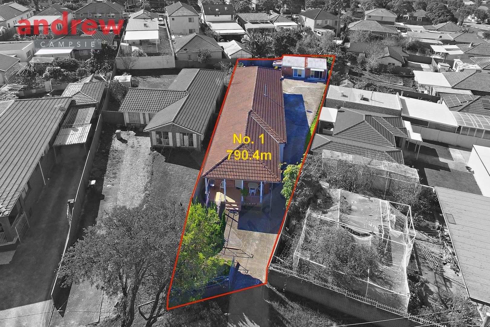 6 bedrooms House in 1 Waratah Street PUNCHBOWL NSW, 2196