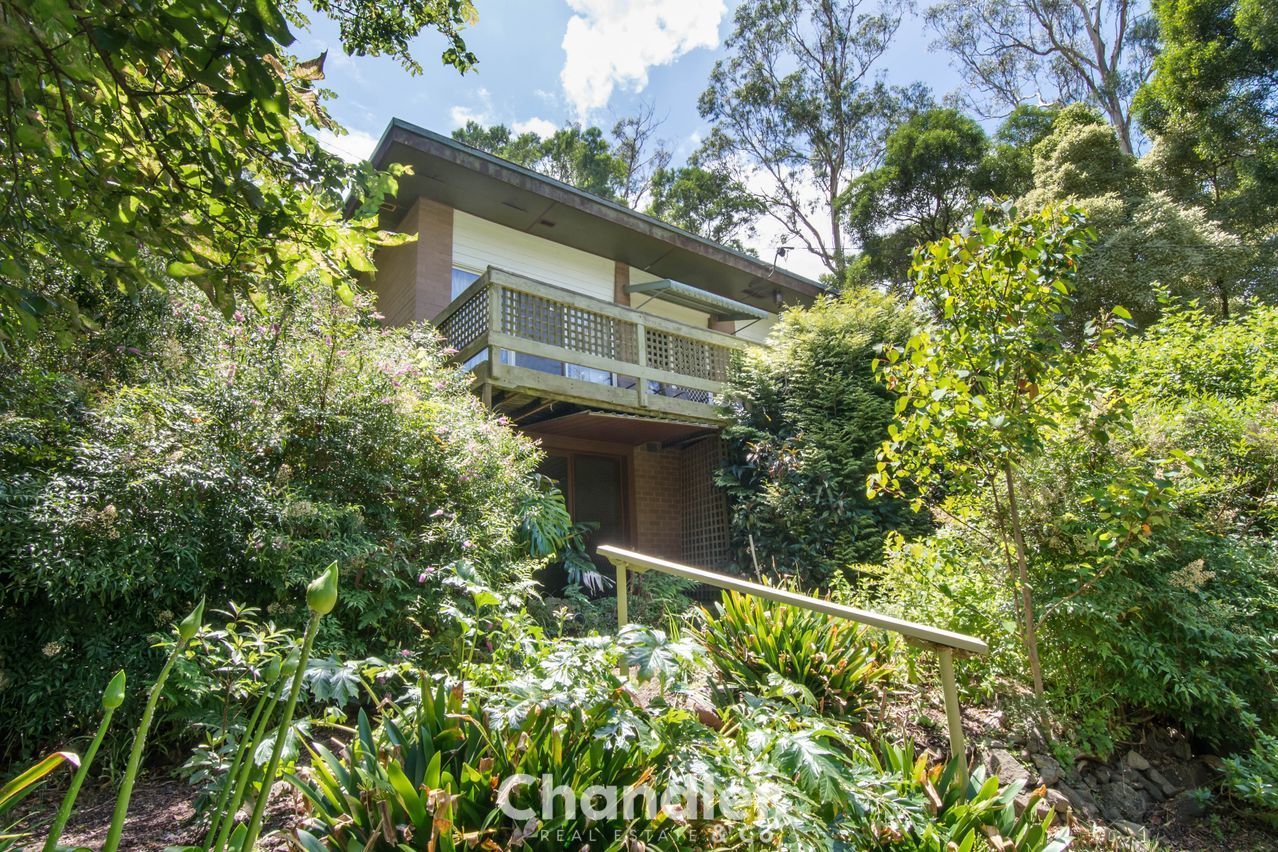 4 bedrooms House in 88 McNicol Road BELGRAVE VIC, 3160