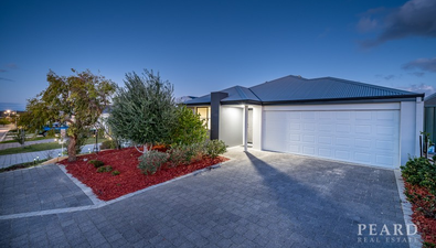 Picture of 32 Everingham Street, CLARKSON WA 6030
